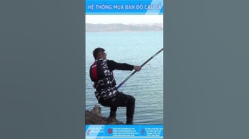 CÂU CÁ TRĂM ĐEN KHỦNG#Youtube shorts Đồ Câu Hải Đăng