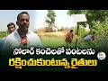 Farmers Use Solar Fencing to Protect Crops from Monkeys &amp; Wild Boars in Nalgonda district