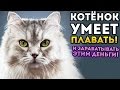 КОТЁНОК КОТОРЫЙ УМЕЕТ ПЛАВАТЬ! И ЗАРАБАТЫВАТЬ ЭТИМ ДЕНЬГИ! - Cat Goes Fishing