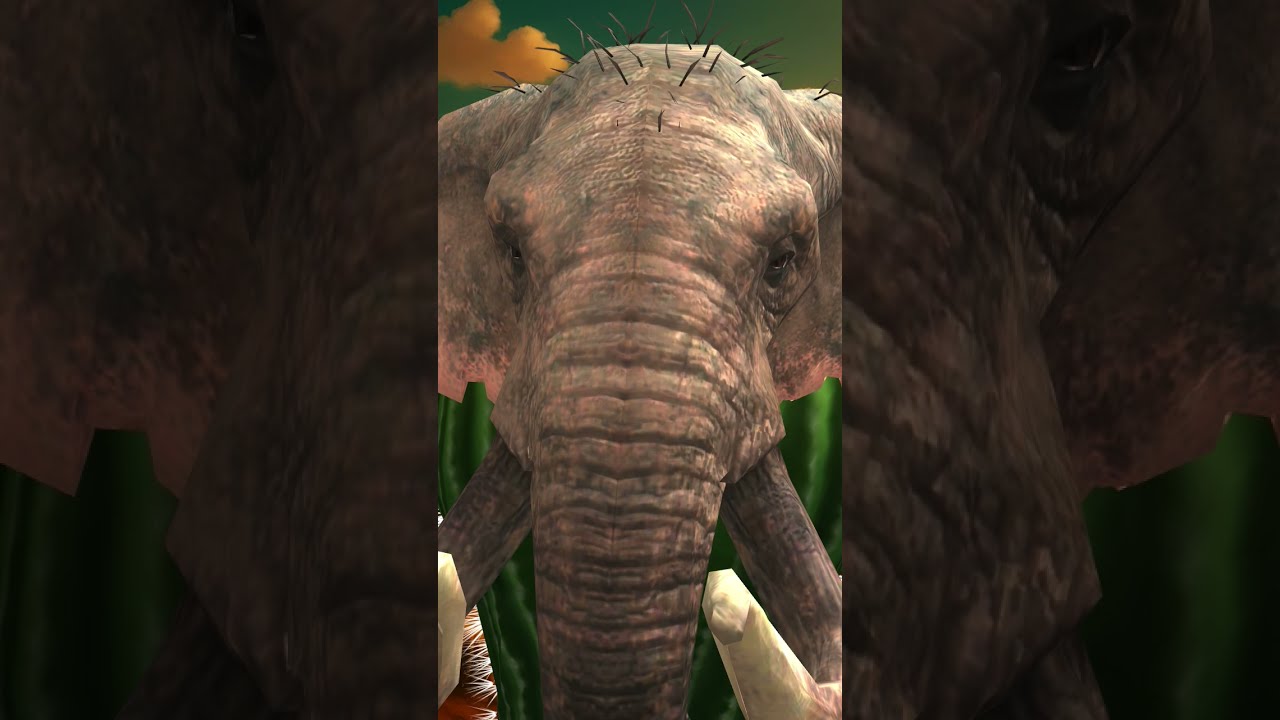 Lirili Larila 3D