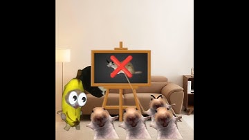 Baby Banana Cat 😺❤️ #catmemes #cat #shorts #fyp #bananacat