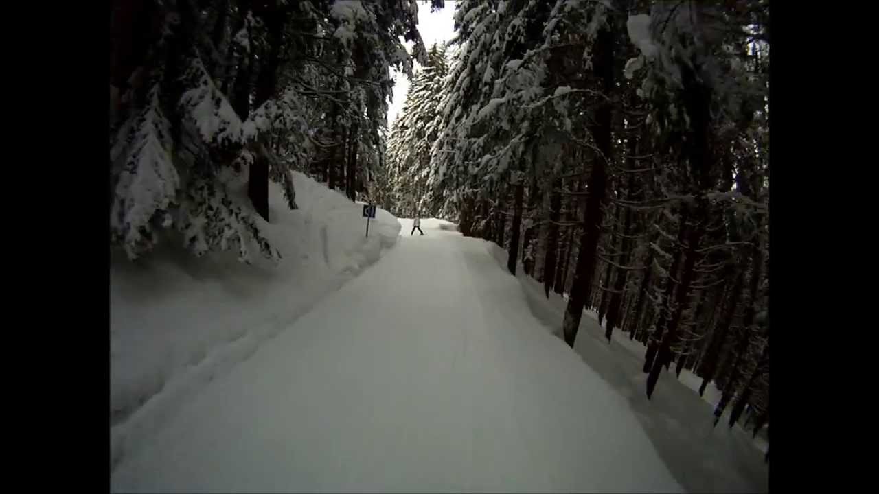 Cavalese - Alpe Cermis: pista Via del Bosco