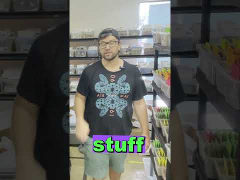 The Value Of Experimentation And Adaptation In Content Creation And Audience Engagement