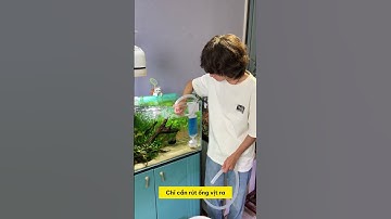 Thiết bị lọc 6 trong 1: Bể cá luôn sạch sẽ mà không cần thay nước hàng ngày #methuysinh #aquarium