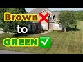 Turn A Brown lawn Back Green How To