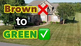 Turn A Brown lawn Back Green How To