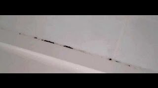 Do you have horrible black stains around your bath or shower seal?
mastic looks great when it is first applied then 6 months later mould
starts to appe...
