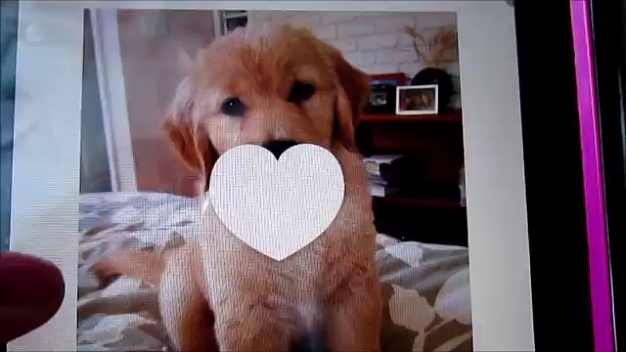 Deconnected // Déconnecté