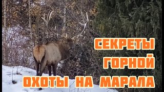 Секреты горной охоты , N3  Охота на марала в Казахстане.