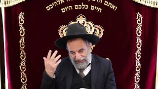 הרב יהודה נקי שליט"א
הלכות ברכות חלק  ב'