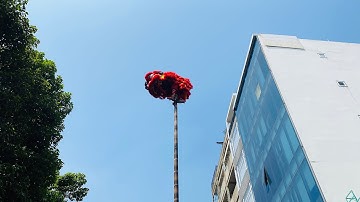 MÚA LÂN HAY NHẤT ĐẶC SẮC NHẤT - LÂN SƯ RỒNG NHƠN NGHĨA ĐƯỜNG - TẾT 2025 - CAO KHÔNG HÁI LỘC