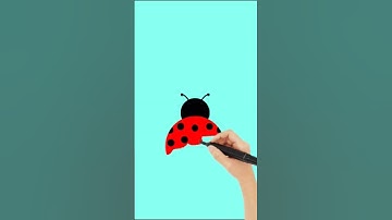 Ladybug Insect #logo #graphicstechs #animated #short #tutorial #vector #aftereffects #art #tutorial