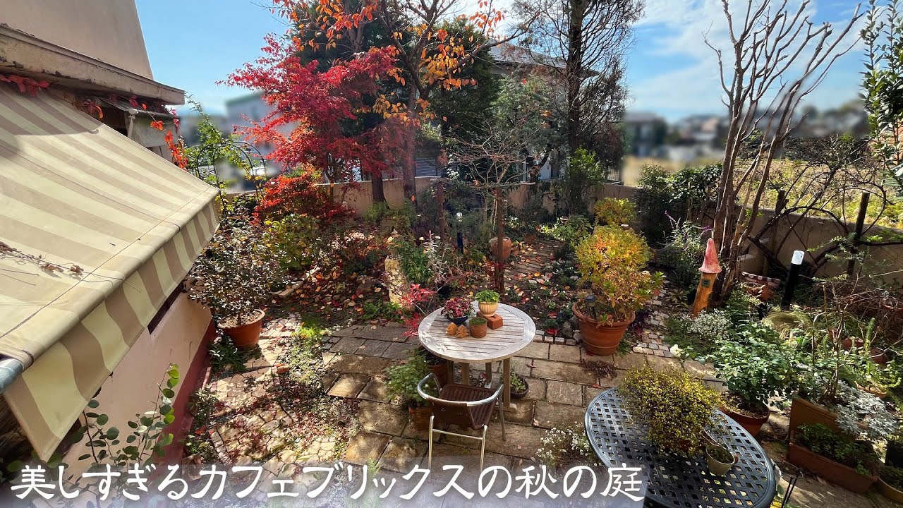 モルタルガーデン】第14回 いつまでもここで過ごしたい♥カフェ