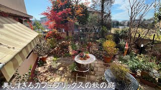 モルタルガーデン】第14回 いつまでもここで過ごしたい♥カフェ