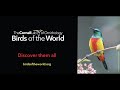 Birds of the World Quiz