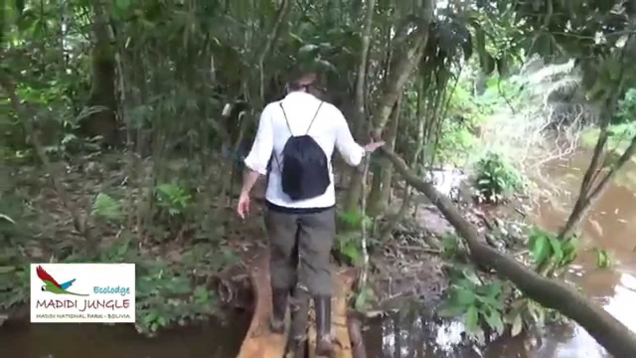 Madidi Jungle Ecolodge piranha fishing