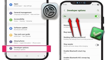 How to Enable Developer Options on Android (Samsung) | 2025 Easy Guide