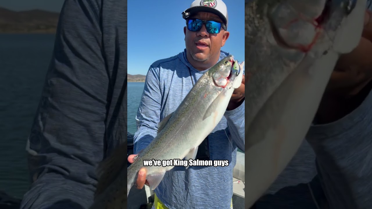 BIG NATE BAIT is Officially Here | Lake Berryessa Diving Plugs
