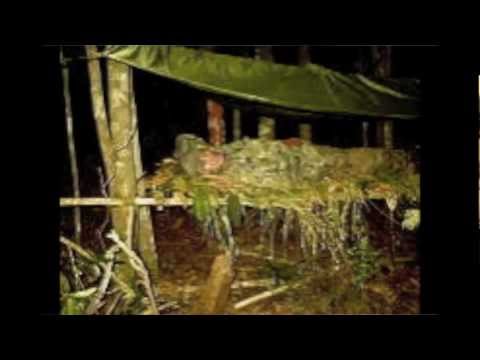 The 173rd Airborne Brigade in The Central Highlands of Vietnam