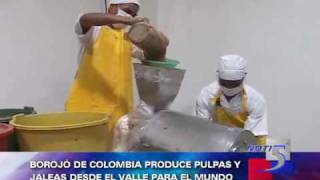 Borojo De Colombia Buena Esa Vallecaucano