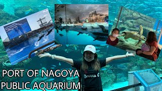 NAGOYA PORT AQUARIUM + DOLPHIN SHOW and many more! | #名古屋港水族館 (イルカのパフォーマンス)