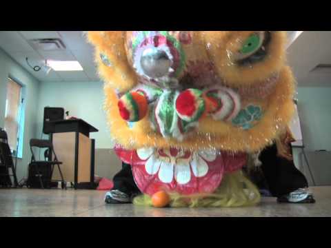 Learning Lion Dance