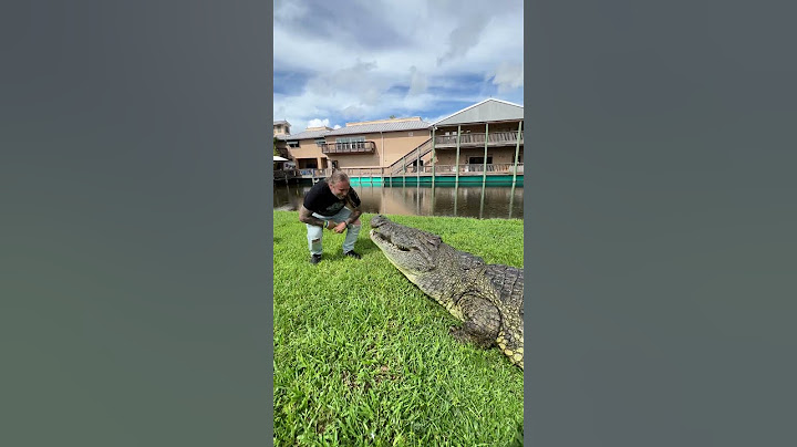 Feeding Monster Crocodile 🐊 👀 @gatorlandvlogs