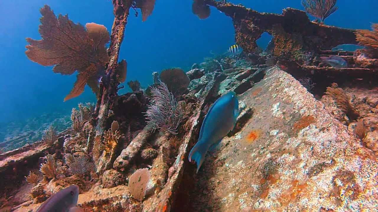 Florida Keys Scuba Diving GoPro Hero2 Full HD YouTube