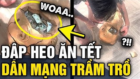 Quay clip ĐẬP HEO ĂN TẾT, chàng trai khiến dân mạng trầm trồ vì CON HEO DÀY CỘP | Tin 3 Phút