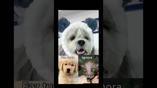 Qual você abraçaria? #pets #shorts #cachorro