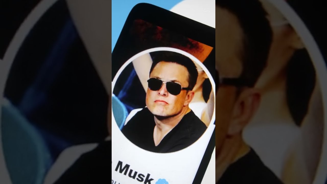 Whistleblower Says Twitter Lied to Elon Musk About Spam Bots #shorts