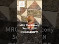 2 BHK Flat Interior for Rent Purpose, MRG The Balcony, Sec-93, Gurugram