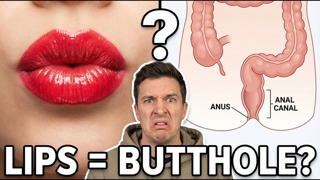 Are Your Lips and Butthole Made of the Same Skin?