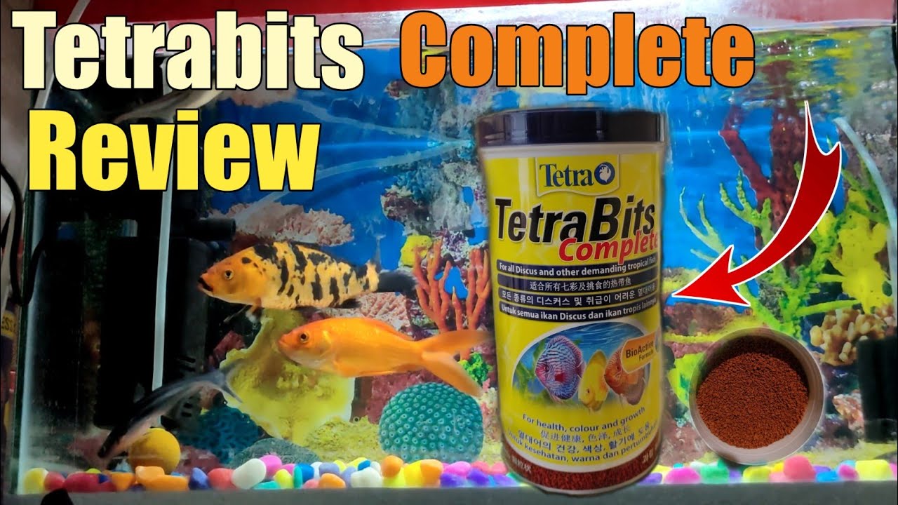 tetra bits fish food tetra fish food tetra bits tetra bits