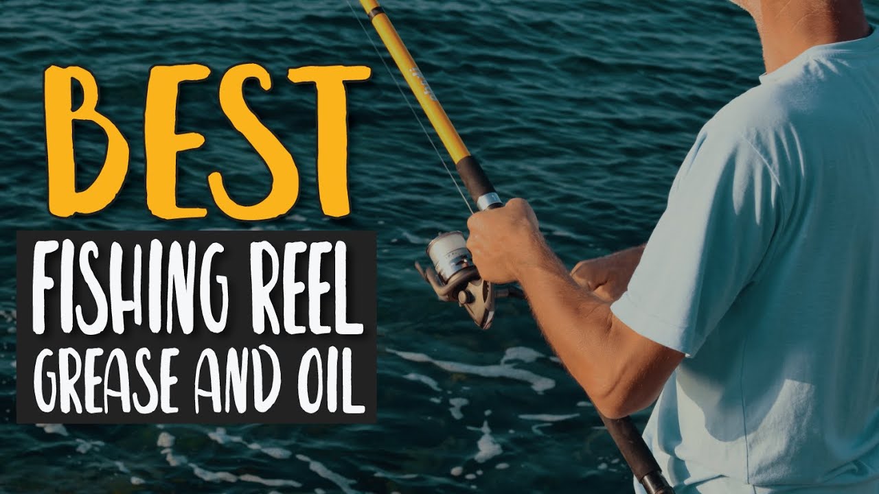Best Fishing Reel Grease and Oil in 2020 – Take Proper Care of Your Fishing  Reels! 