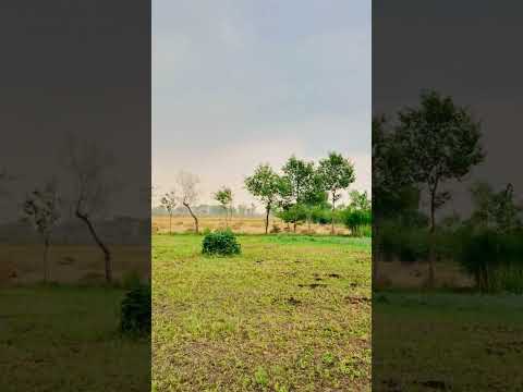 A Hawa V Dost Meri Ban Gai Hai Beautiful Raining Status Pindawale Beautiful Nature Villagelife