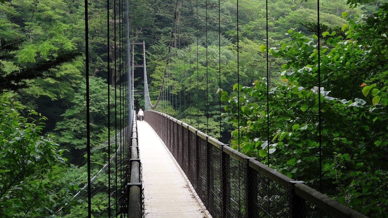 回顧の吊橋 みかえりのつりばし と回顧の滝 栃木県那須塩原市 Youtube
