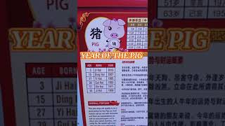 CHINESE HOROSCOPE 2021 PIG - CHINESE LUCKY GODS FU LU SHOU #Shorts