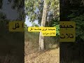 PrayersUponTheProphetﷺ BePatient Explore MyPhotography ListenToUs Trend Miracles TikTok 