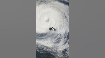 Bão số 15 (Koto) giật cấp 15: Cảnh báo nguy hiểm!  #thờitiết #tintức #bão15