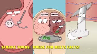 A collection of easy-to-understand animated science videos#animation #funny #video 
