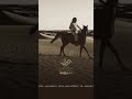 عزيز النفس  mp3
