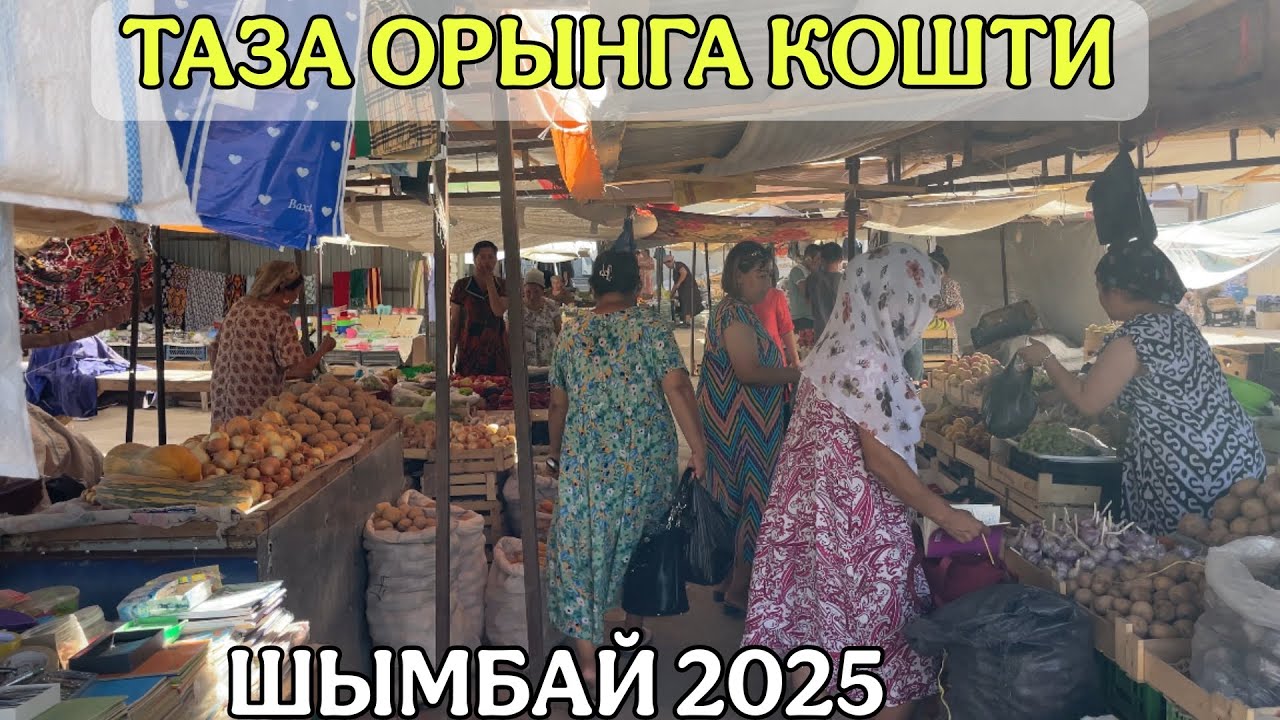 ШЫМБАЙДА ЖАНАЛЫК МИНТАЙ БАЛЫК КУЫРДАК МУМИН ШАЙХАНАСЫНДА