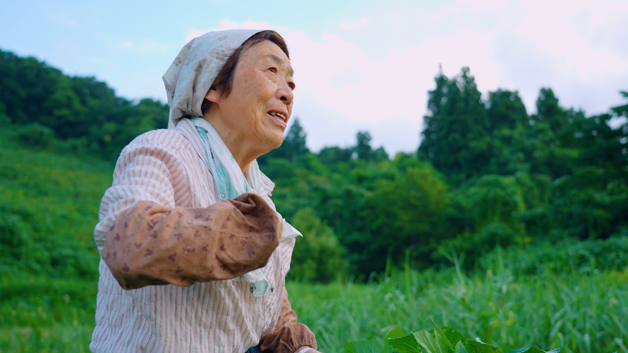 【畑】猛暑に負けない83歳の野菜作り【フミちゃんねる】