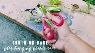 Care for Hanging Plants + I DARE YOU THE TRUTH