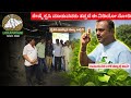 ಗುಣಮಟ್ಟದ ಹಿಪ್ಪುನೇರಳೆ ಸೊಪ್ಪು ಬೆಳೆಯಲು ಸಂಪೂರ್ಣ ಮಾರ್ಗದರ್ಶನ | ರೈತರಿಗೆ ವಿಶೇಷ ಫಾರ್ಮ್ ಟೂರ್| Naveen Sangapura