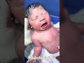 Newborn Born Baby Sevring Adorably Newbornbaby Adoreble Adoreble Baby Newborn Newborn Born Baby Sevring Adorably Newbornbaby Adoreble Adoreble Baby Newborn