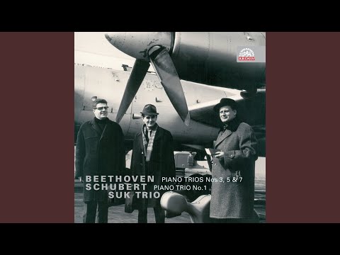 Trio for Piano, Violin and Cello No. 1 in B flat major, Op. 99 - Andante un poco mosso