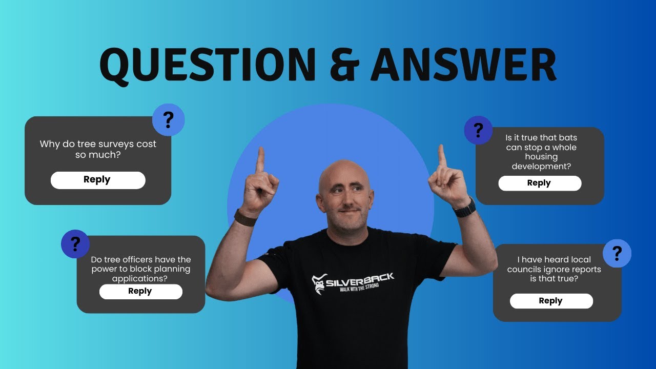 Q&A - Planning Permission Problems? Tree Surveys, Bats, and Development ...