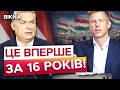 🤯 ЗЕЛЕНСЬКИЙ на плакатах в УГОРЩИНІ! ОРБАН має всі шанси ПРОГРАТИ ВИБОРИ? Що кажуть угорці?